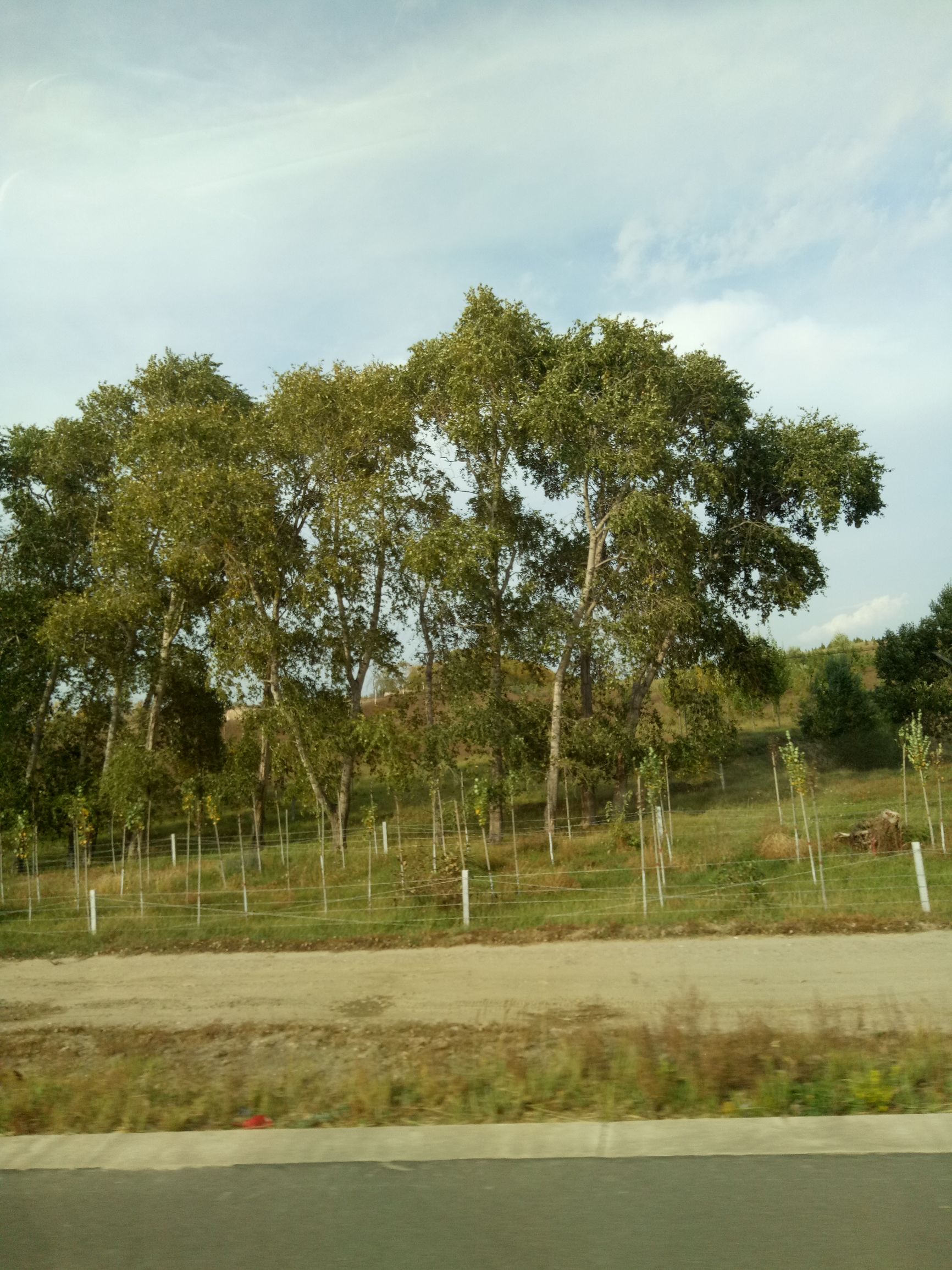 张北的草原天路之旅,张北天路攻略