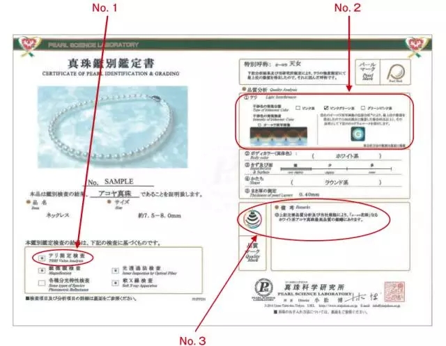 做珍珠中的“花珠”和“天女”，比考上清华北大还难