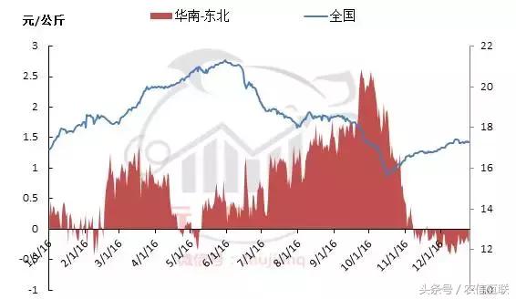 今年养猪预测,现在猪价下跌养猪还来得及吗