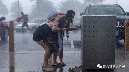 代购心酸历程,澳洲直邮车厘子