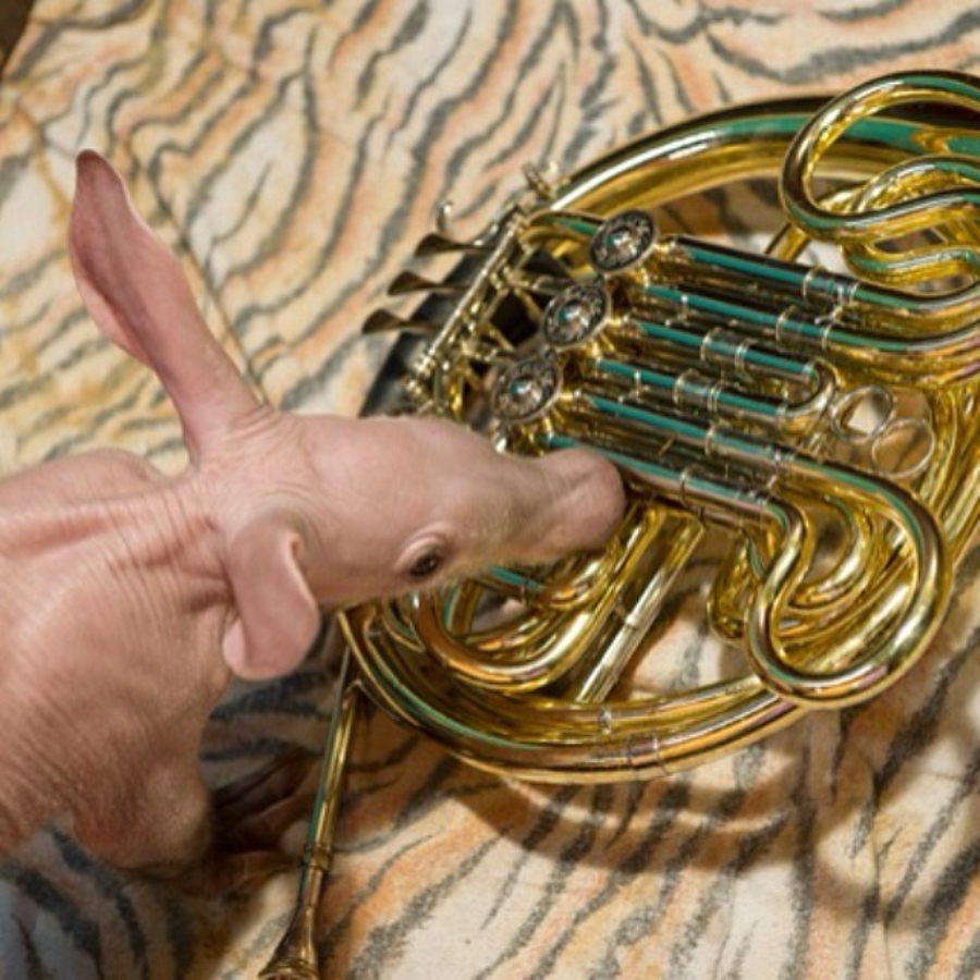 做核磁共振半道跑出来的多吗,做核磁共振途中为什么要推针水