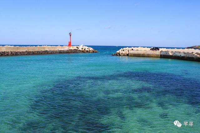 不止免签和免税店，还有各家爱豆，都在喊你去济州岛办婚礼！