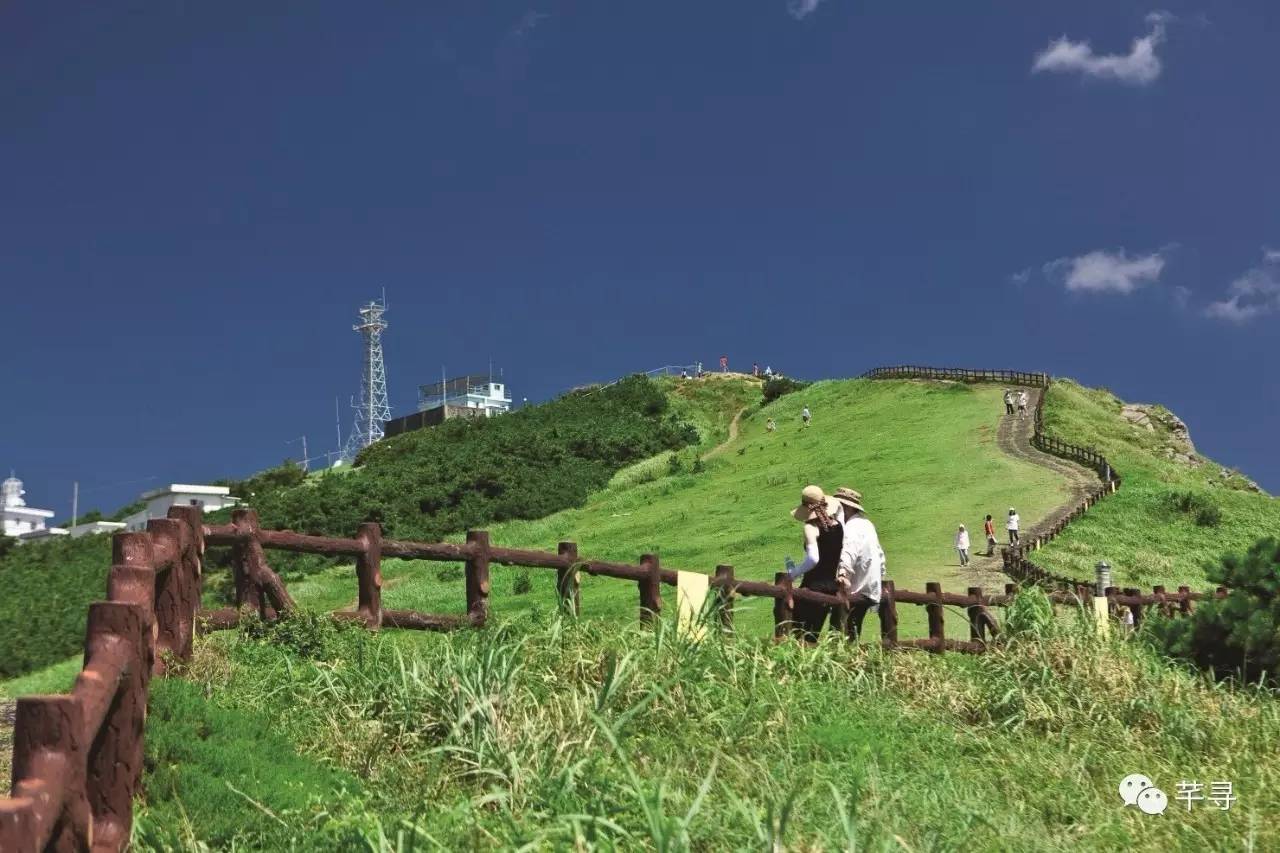 不止免签和免税店，还有各家爱豆，都在喊你去济州岛办婚礼！