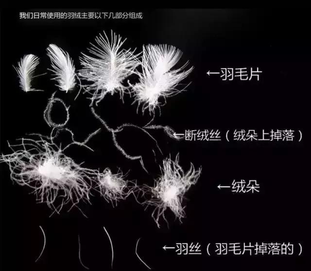 网购羽绒服不合格,劣质羽绒服测评