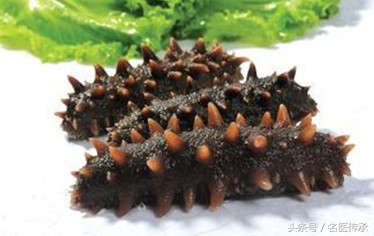 海参怎么吃才能养肾,海参的功效与作用老年人