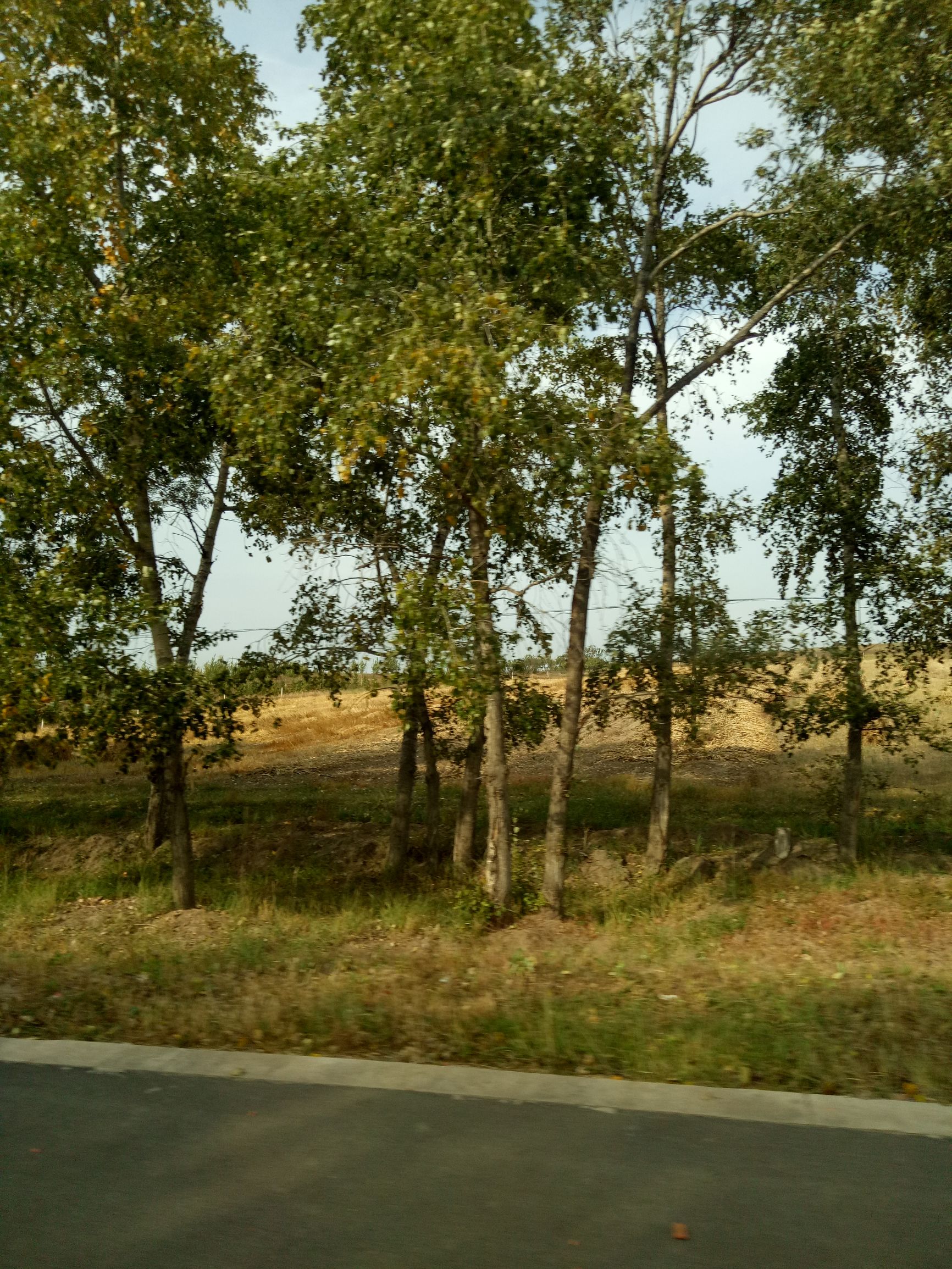 张北的草原天路之旅,张北天路攻略