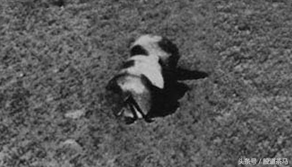 发现奇怪物体视频,发现很奇怪的东西图片