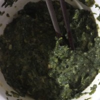 蟾蜍草煎鸡蛋，这卖相也是没sei了