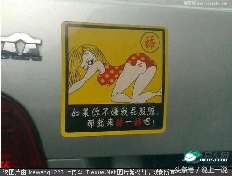 搞笑车贴标语纸网红爆款,搞笑车贴标语