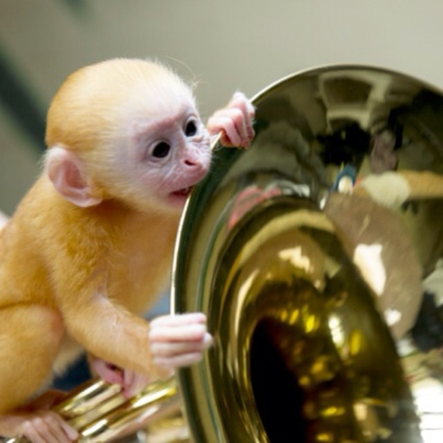 做核磁共振半道跑出来的多吗,做核磁共振途中为什么要推针水