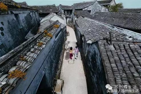 外地人65岁在苏州有什么福利,苏州人春节有什么福利