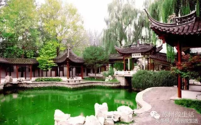 外地人65岁在苏州有什么福利,苏州人春节有什么福利