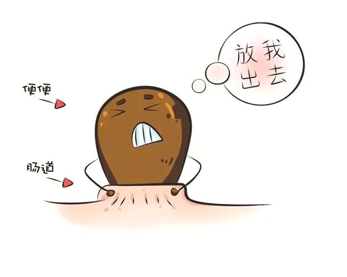 消化不好便秘吃什么食物可以调理,便秘要吃的十种食物彻底清除便秘