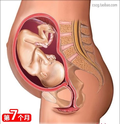 什么食物会导致先兆流产,18种吃胎现象及解决办法