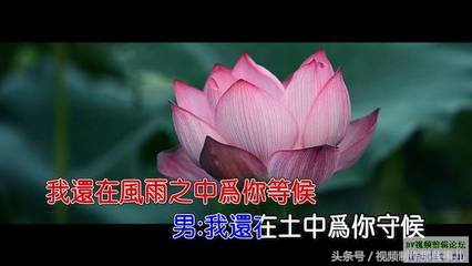 pr剪辑的一些常用插件素材,pr后期插件补光