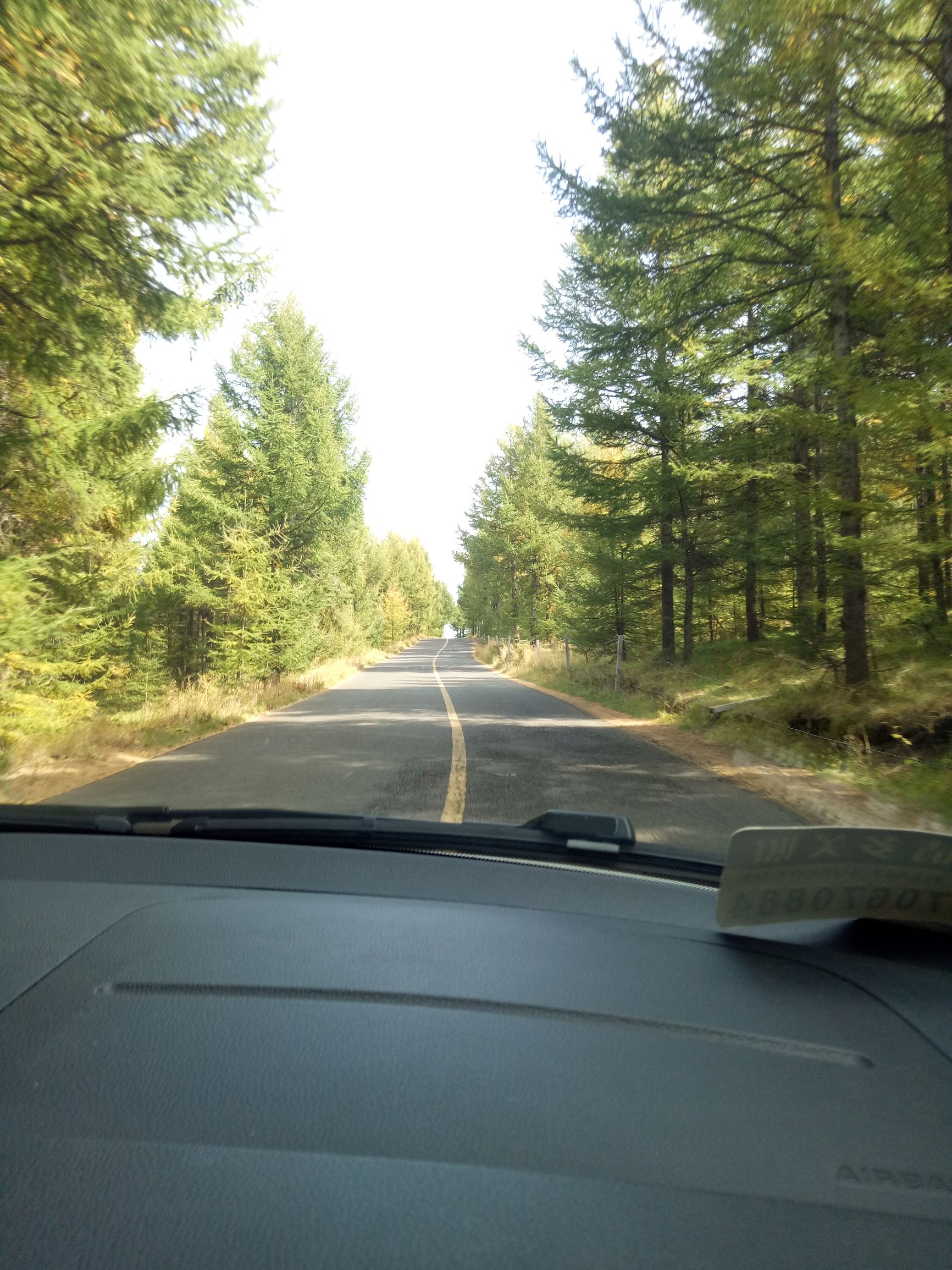 张北的草原天路之旅,张北天路攻略