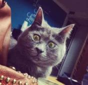 23岁研究生因头痛去世,长期偏头痛查不出来原因