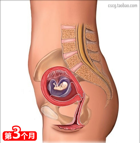 什么食物会导致先兆流产,18种吃胎现象及解决办法