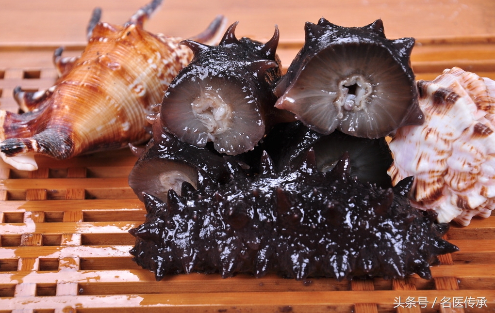 海参怎么吃才能养肾,海参的功效与作用老年人