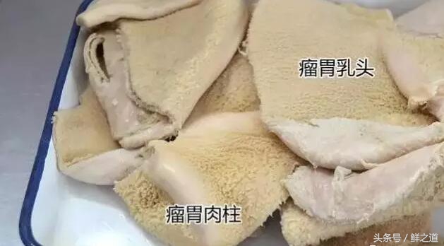 牛肚的部位分解图和吃法,牛肚养胃的做法