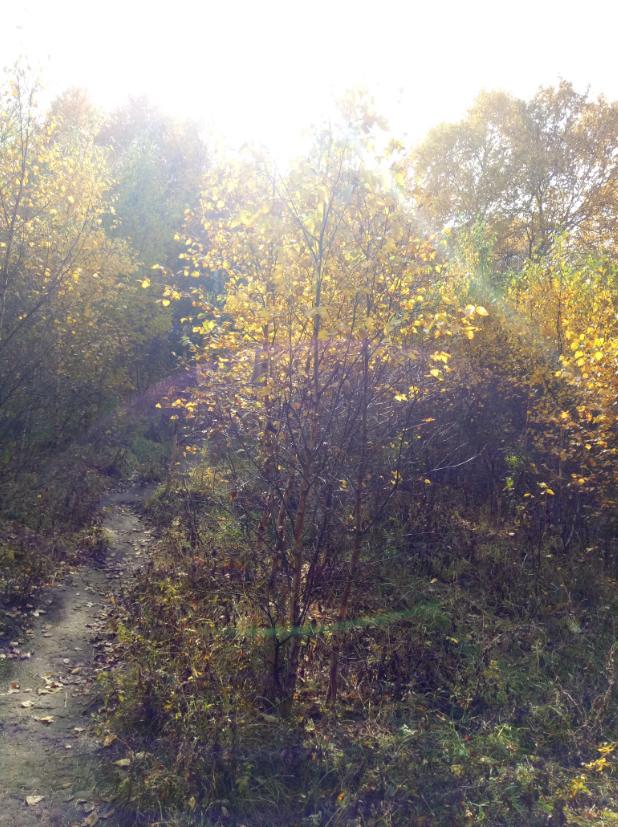 张北的草原天路之旅,张北天路攻略