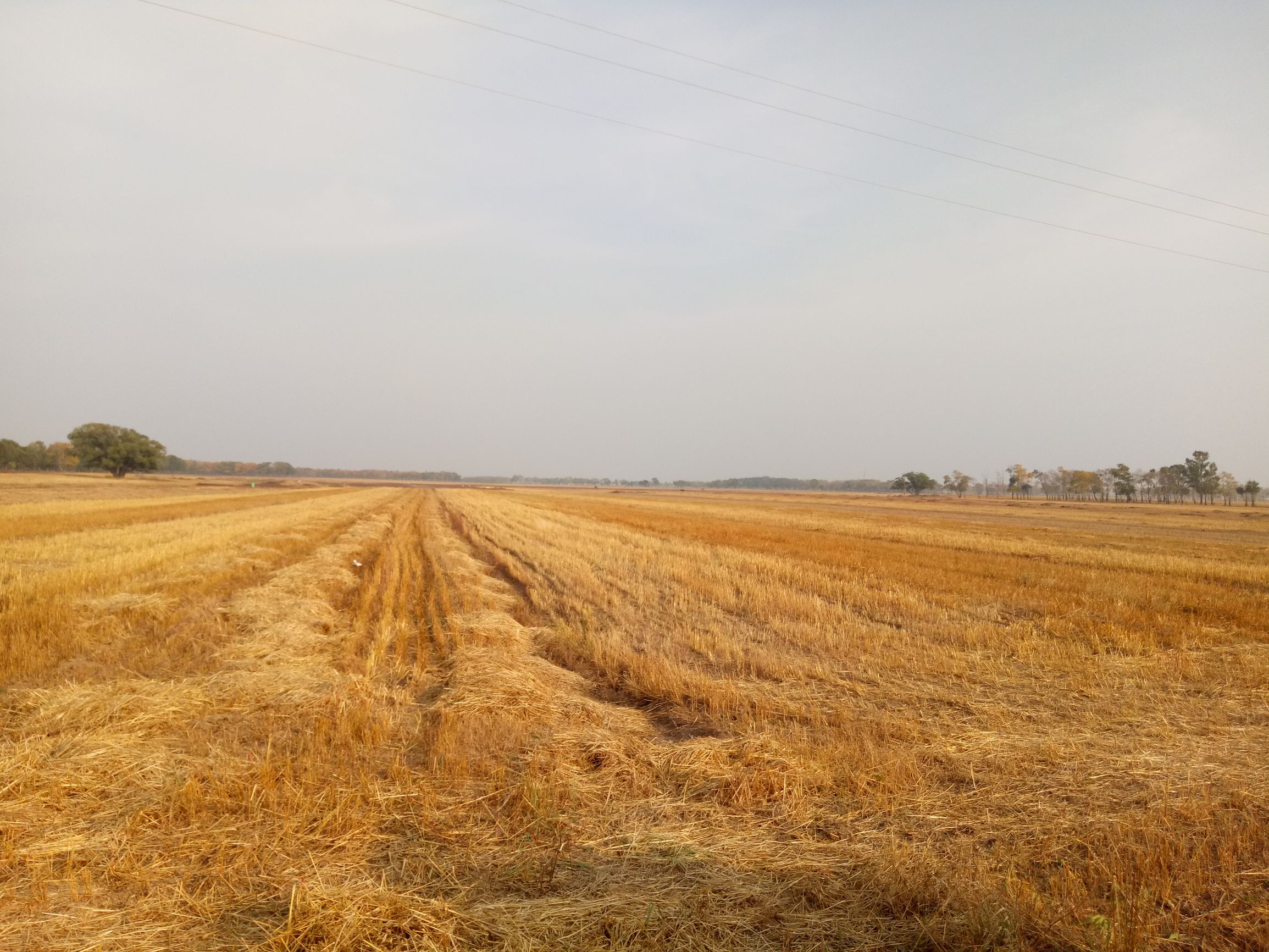 张北的草原天路之旅,张北天路攻略