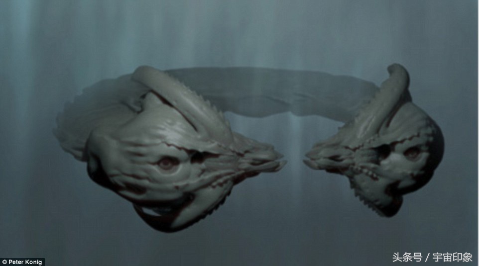 地球外来物种有哪些,地球下一代物种长什么样