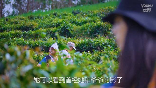 葛天治疗情伤的神秘地点就在这里