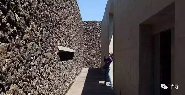 不止免签和免税店，还有各家爱豆，都在喊你去济州岛办婚礼！