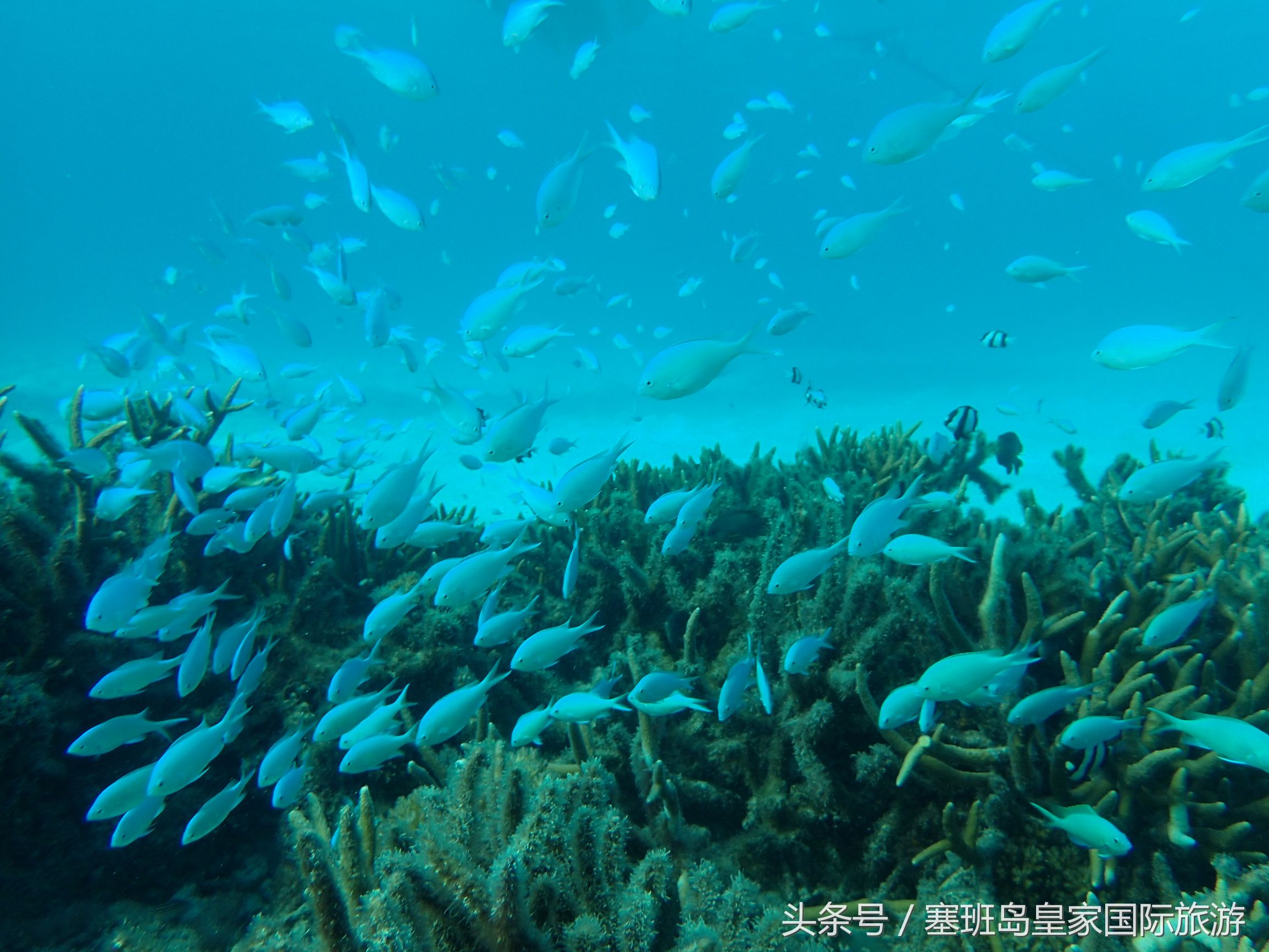 2019海岛必去景点攻略,国内最新最好的海岛自驾游