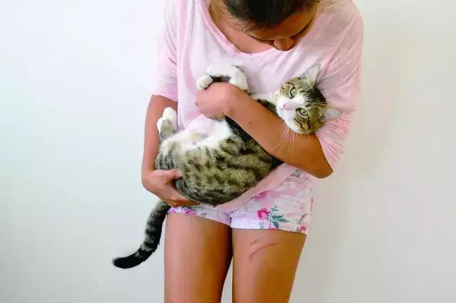 总被猫挠会得病吗,总是被猫抓破手怎么办