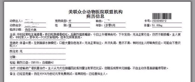 狗狗只因吃肉被打得半死不活,狗狗因误食布洛芬死亡