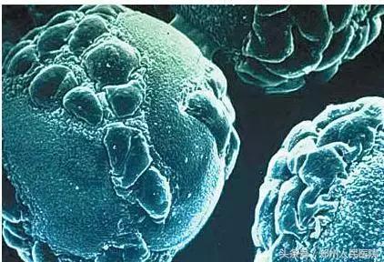 中医刘天鹏医生讲带状疱疹,陈明教授治带状疱疹