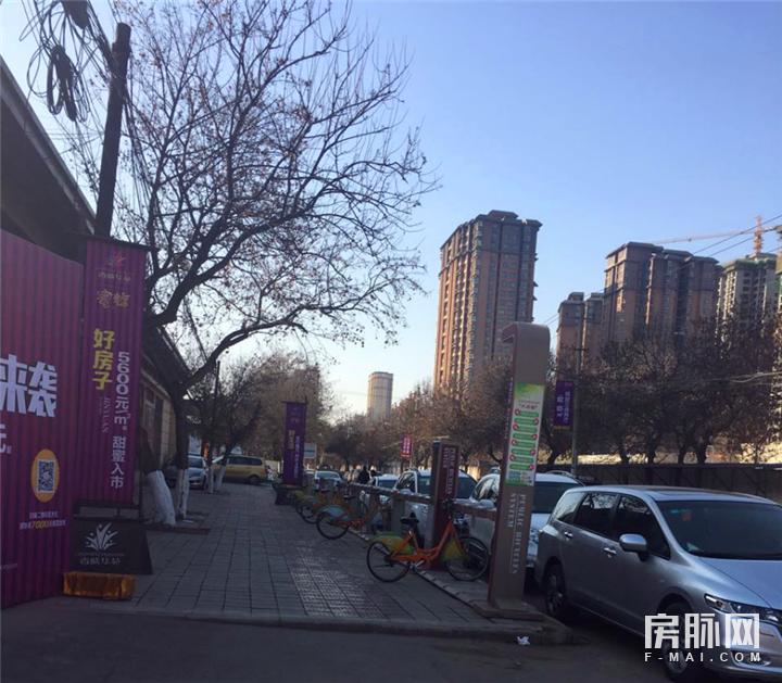 见证西安的发展,见证西安走进碑林