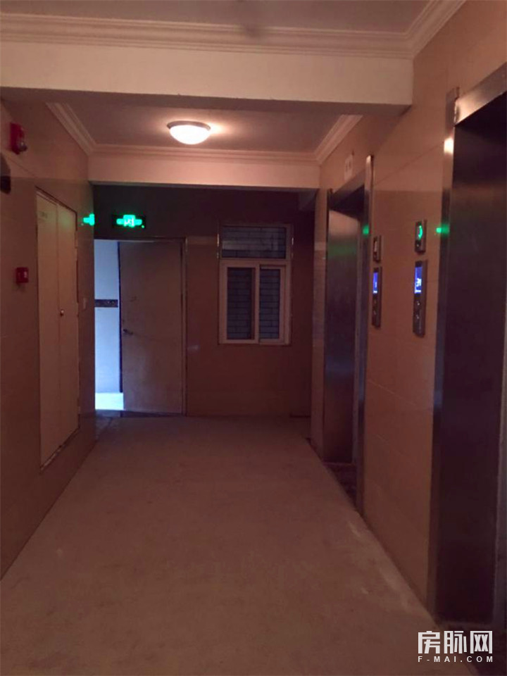 见证西安的发展,见证西安走进碑林