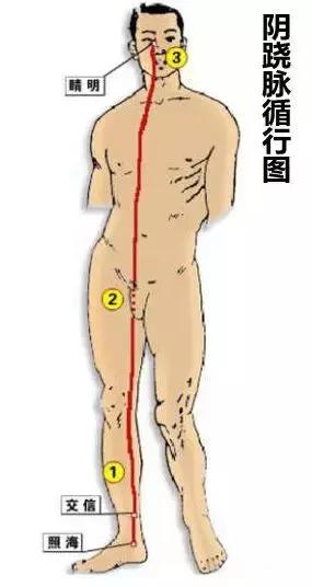 调理肝脾肾三脏中医经方,肝脾肾三条经络淤堵怎么调理