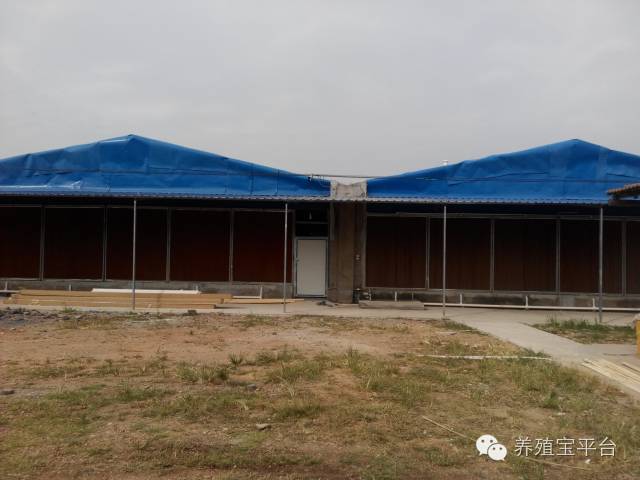 爱佳集团杨经理,杨文斌的养殖场