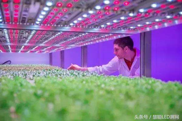 led显示屏如何使用更长久一点,透明led显示屏有什么功能