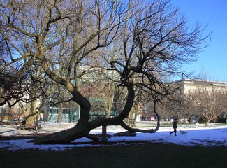 奥地利几月最美,奥地利最美的十个地方