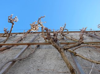 奥地利几月最美,奥地利最美的十个地方