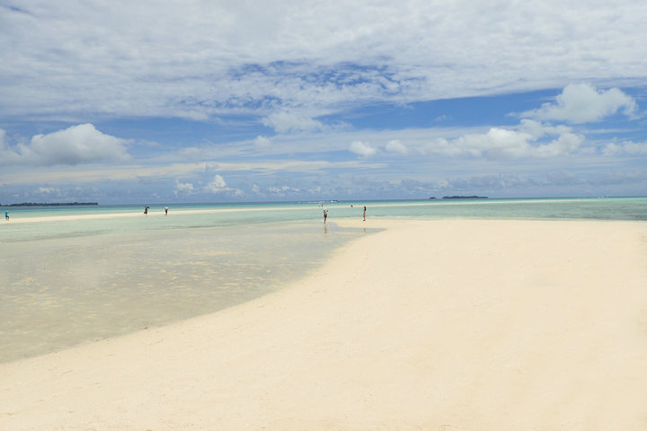 帕劳怎么玩,我来教你怎么玩打野