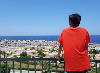 二进埃及，红海我怎能不爱你