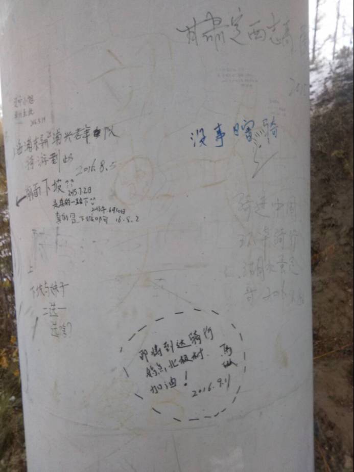 山东猪坚强,猪坚强512