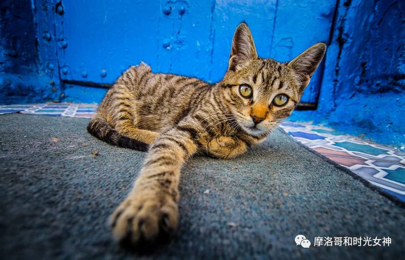 涓浗娓稿涓嶆兂鍘诲鍥界帺,鎽╂礇鍝ュ崥鐗╅