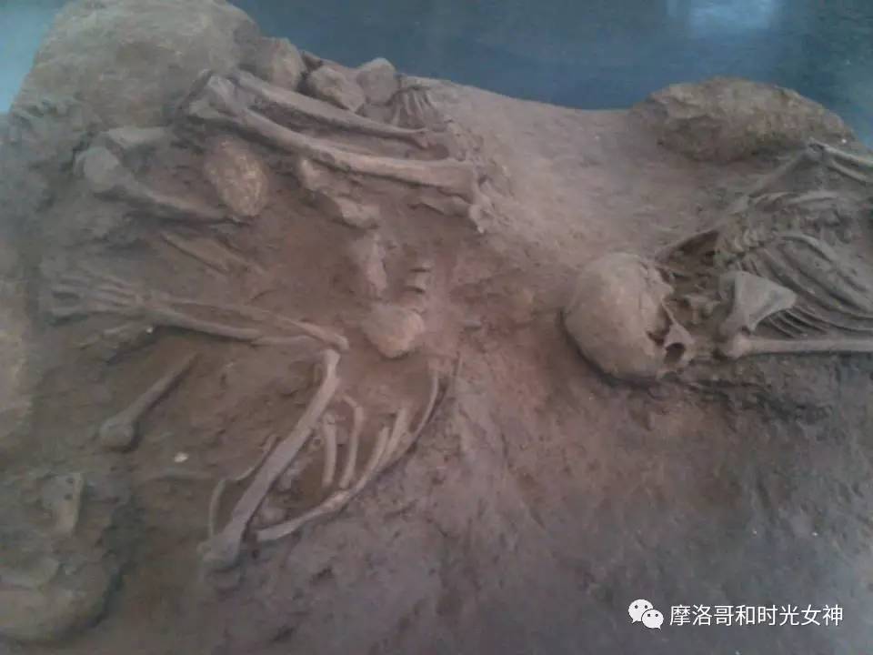 涓浗娓稿涓嶆兂鍘诲鍥界帺,鎽╂礇鍝ュ崥鐗╅