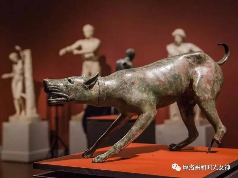 涓浗娓稿涓嶆兂鍘诲鍥界帺,鎽╂礇鍝ュ崥鐗╅