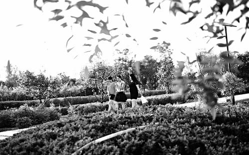 太原市生态修复规划,生态修复筑牢绿色屏障