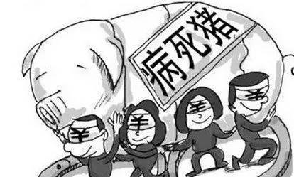 消毒液给泡椒凤爪消毒？贩卖淘汰猪？给他人打昂贵“瘦脸针”？这些人昨天都被判刑了！