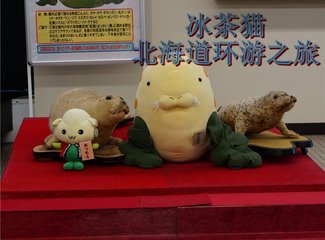 环游日本北海道视频,北海道环游