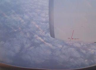 二进埃及，红海我怎能不爱你